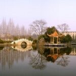 东升国际在全球市场中的战略布局与发展前景 8qzfe8l