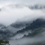东升国际官网:如何选择适合自己的投资产品 m98o3q